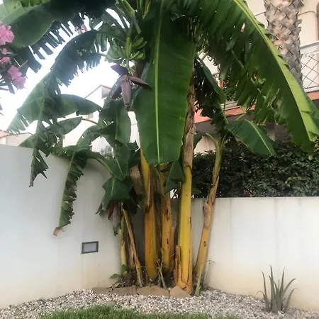 Проживание в семье Dependance Reale Капо-д'Орландо